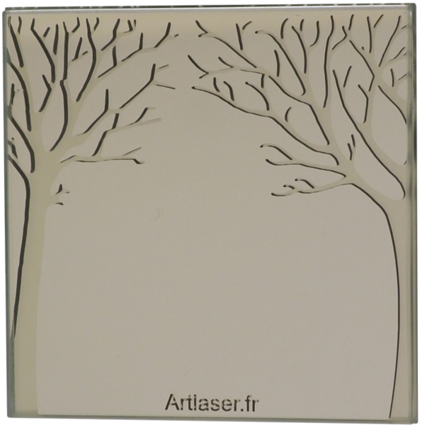 miroir-arbre-effet-3d.png